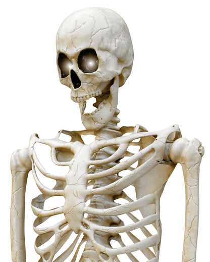 Giant Skeleton Outdoor Decoration